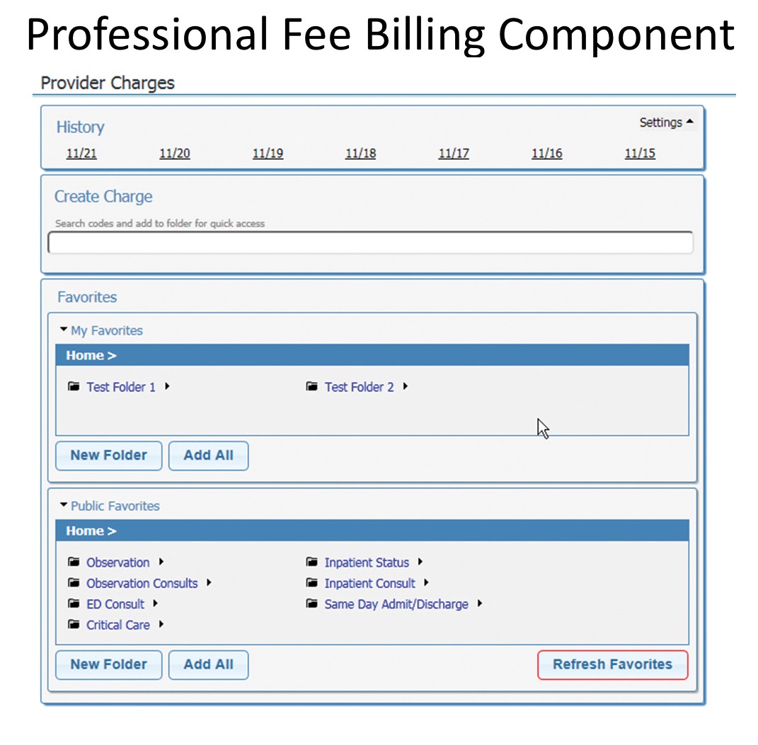 Professional Fee Billing